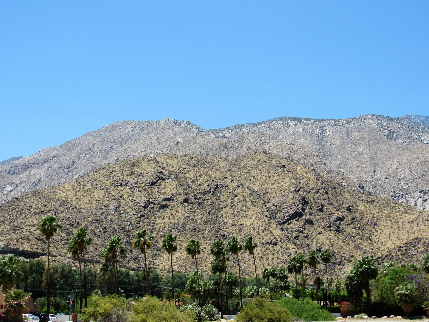 An image depicting the trail Palm Canyon - West Fork - Coffman - Alexander Loop Trail and its surrounding area.