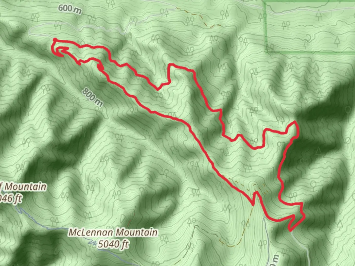 An image depicting the trail Forest Road and Olallie Loop Trail and its surrounding area.