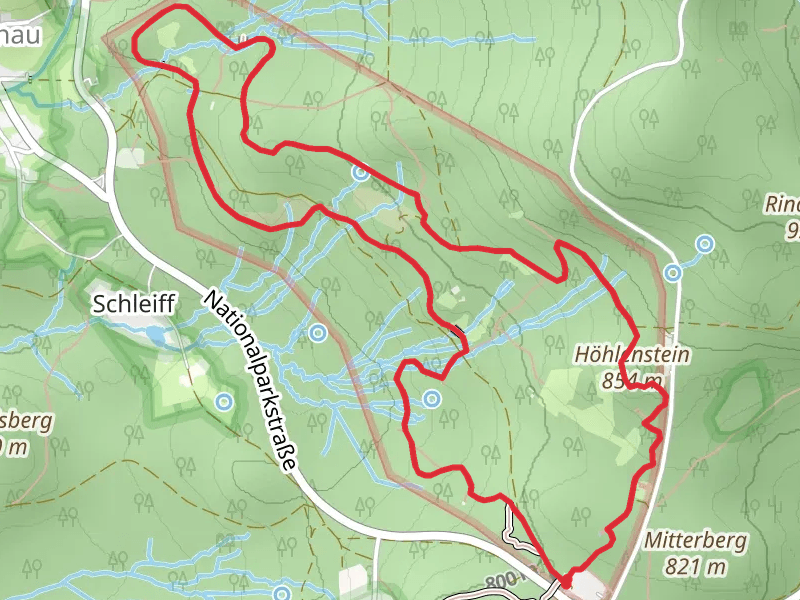 Wildkatze and Voegel am Waldrand Loop via Gehegerundweg