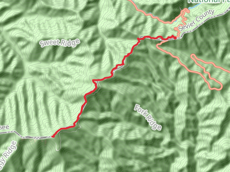 Mount Collins and Clingmans Dome via Appalachian Trail