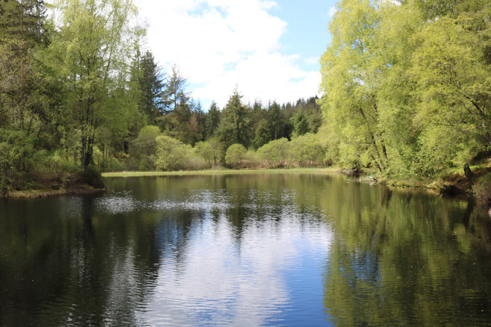 An image depicting the trail Bruntis Loch - Anniversary Cairn Loop Trail and its surrounding area.