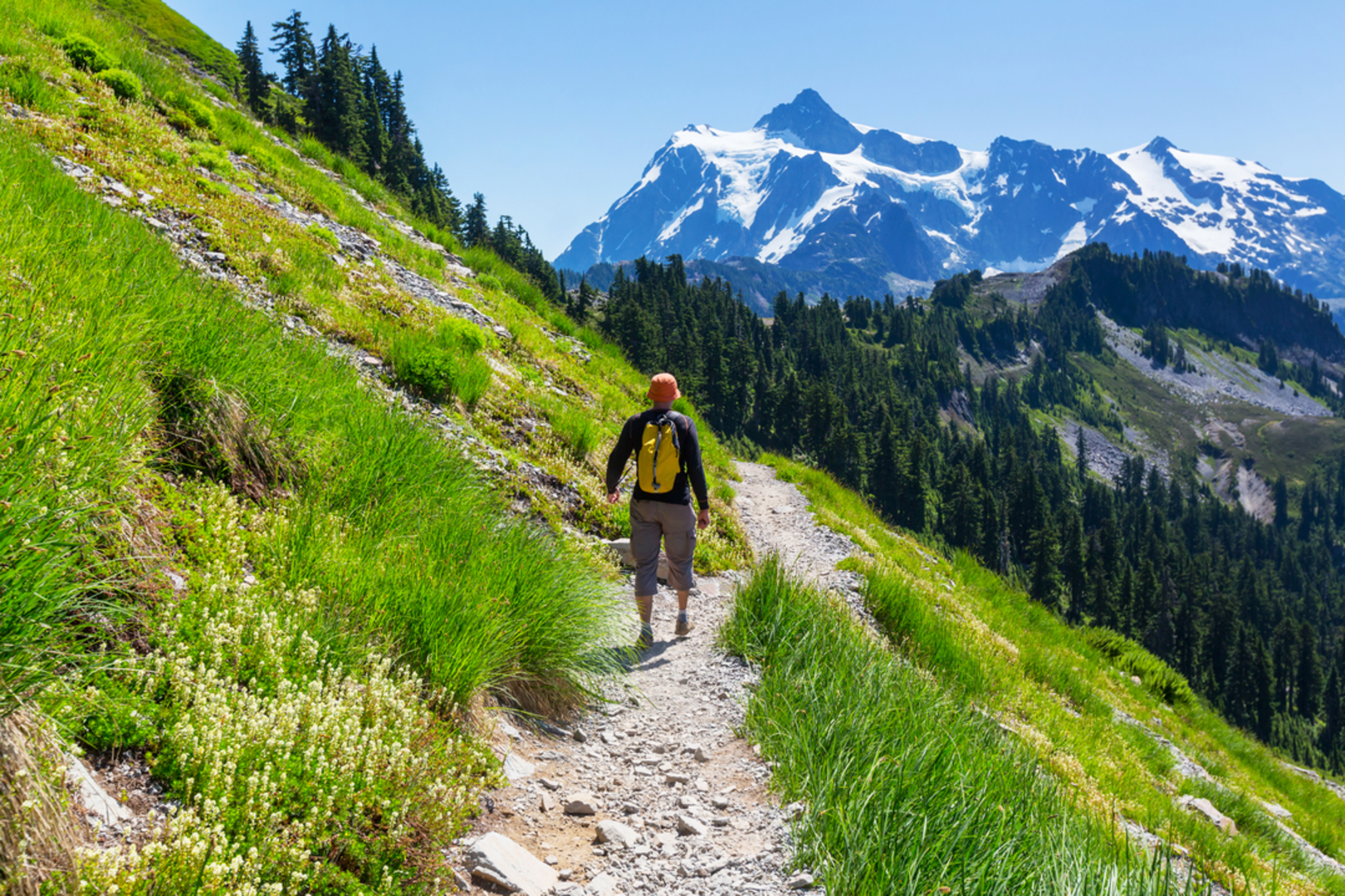 An image depicting the trail Wanlick Creek Trail and its surrounding area.