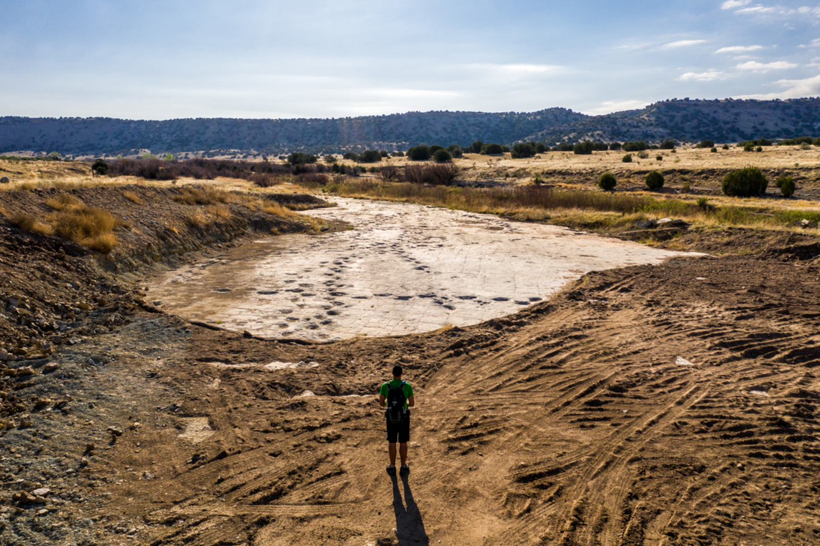 An image depicting the trail Track Site Spur Trail and its surrounding area.