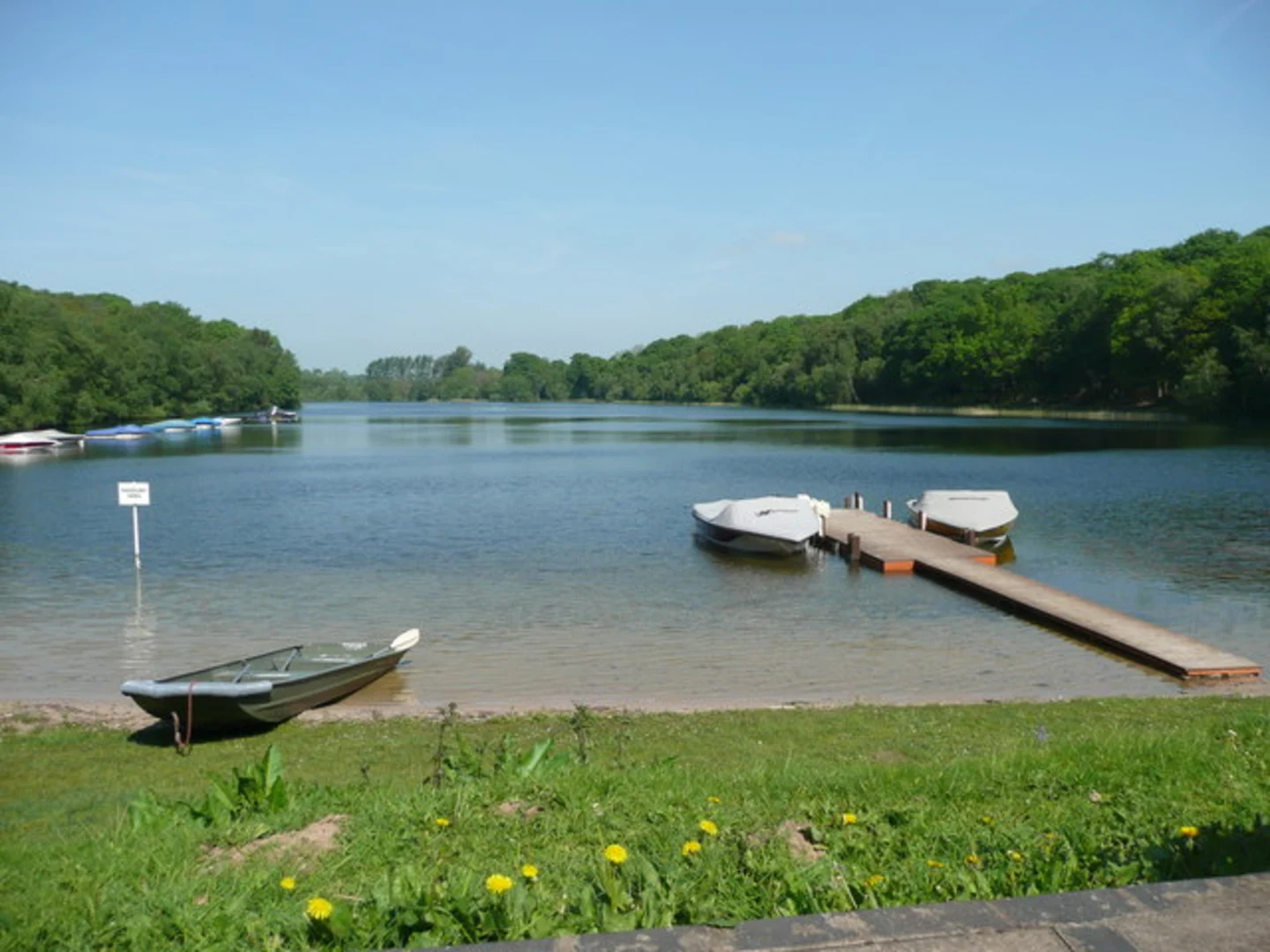 An image depicting the trail Bayston Hill VIllage Eastern Loop via Bomere Pool and its surrounding area.
