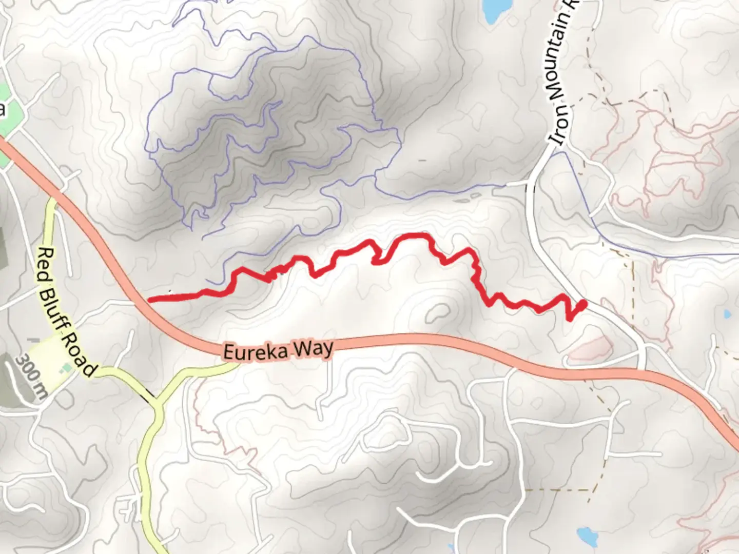 An image depicting the trail Trail 58 and its surrounding area.