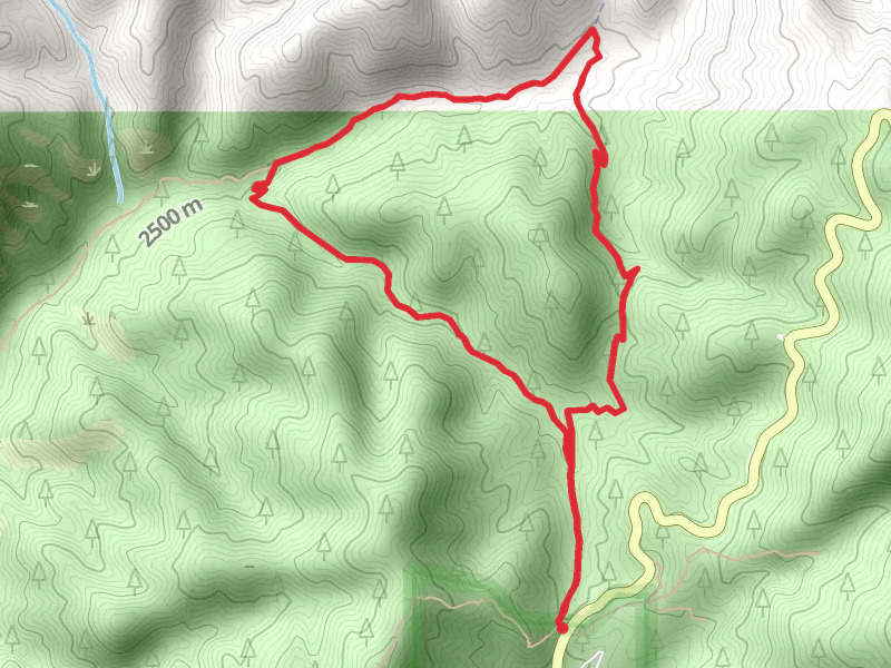 Bear Wallow Trail - Borrego Loop Trail