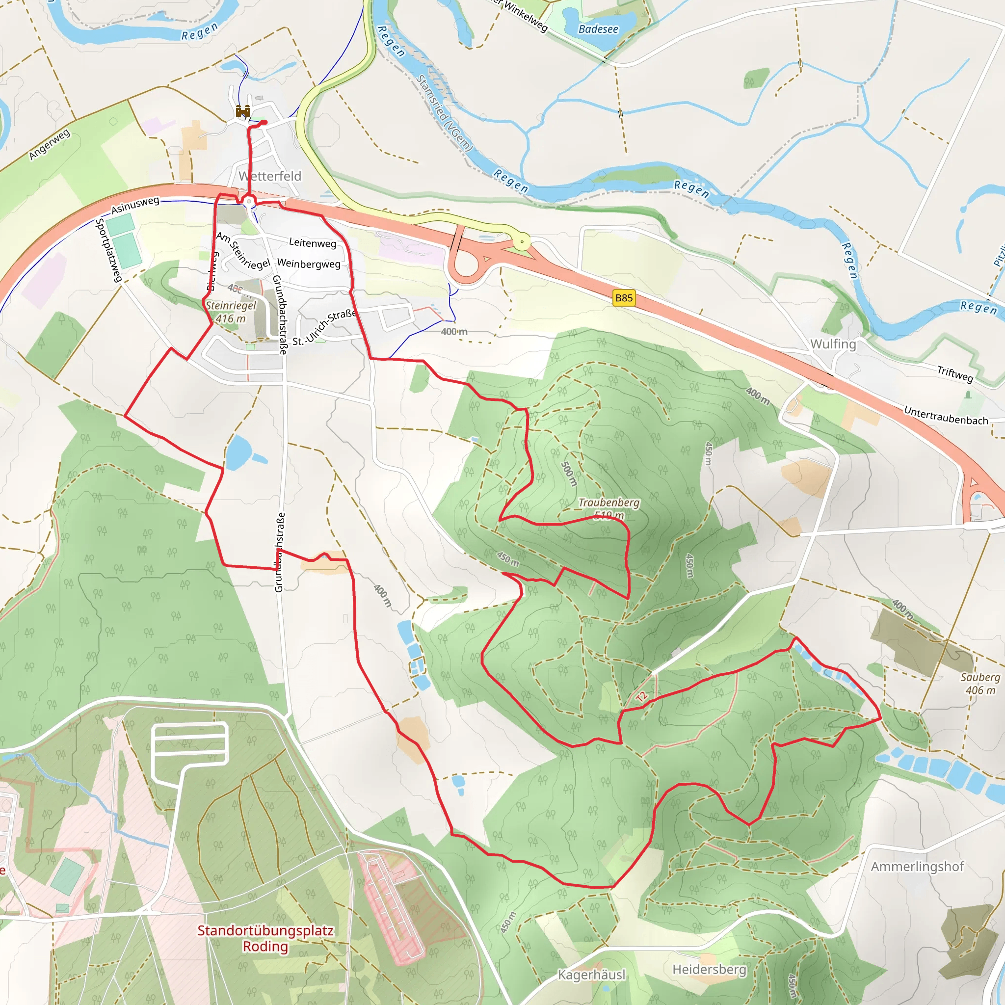 Traubenberg and Jauchegrube Loop mobile static map