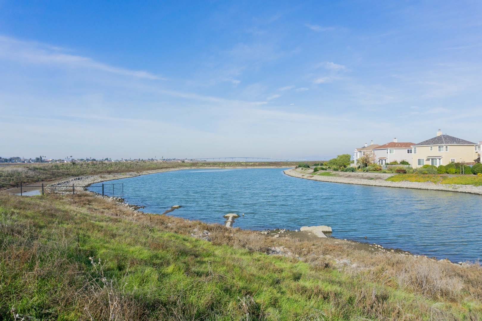 An image depicting the trail Redwood Shores Loop and its surrounding area.