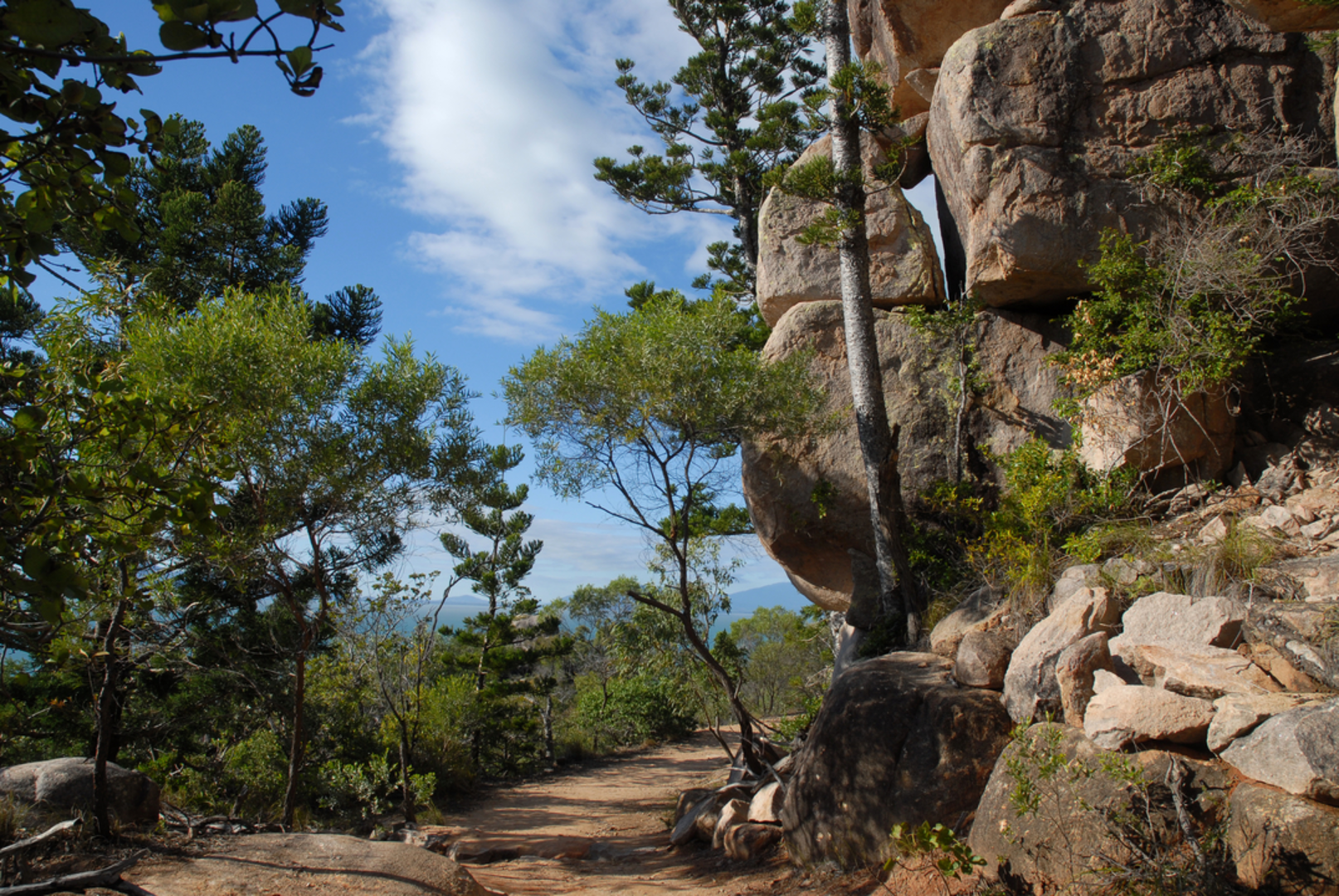 An image depicting the trail The Forts Walking Track and its surrounding area.