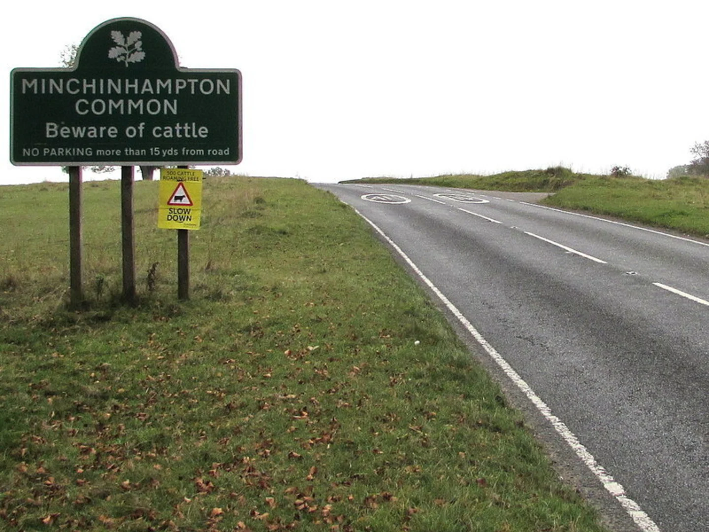 An image depicting the trail Minchinhampton Common Loop and its surrounding area.