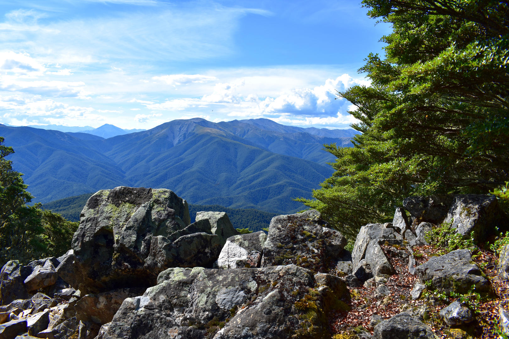 An image depicting the trail Coopers Creek Car Park to Mt Oxford and its surrounding area.