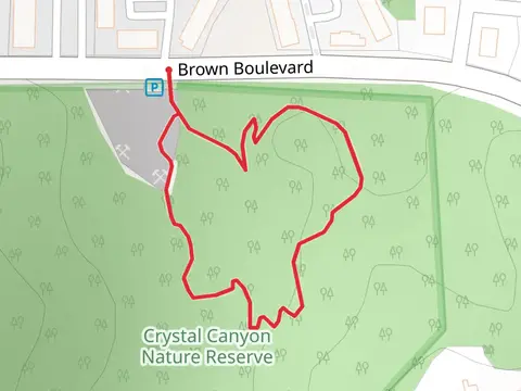 Brown Boulevard Loop