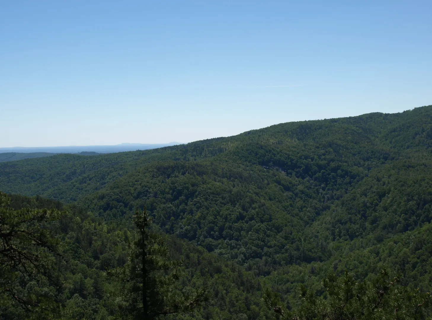 An image depicting the trail Standing Indian Mountain Loop and its surrounding area.