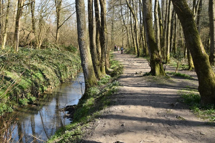 Tunbridge Wells, Groombridge and Frant Loop