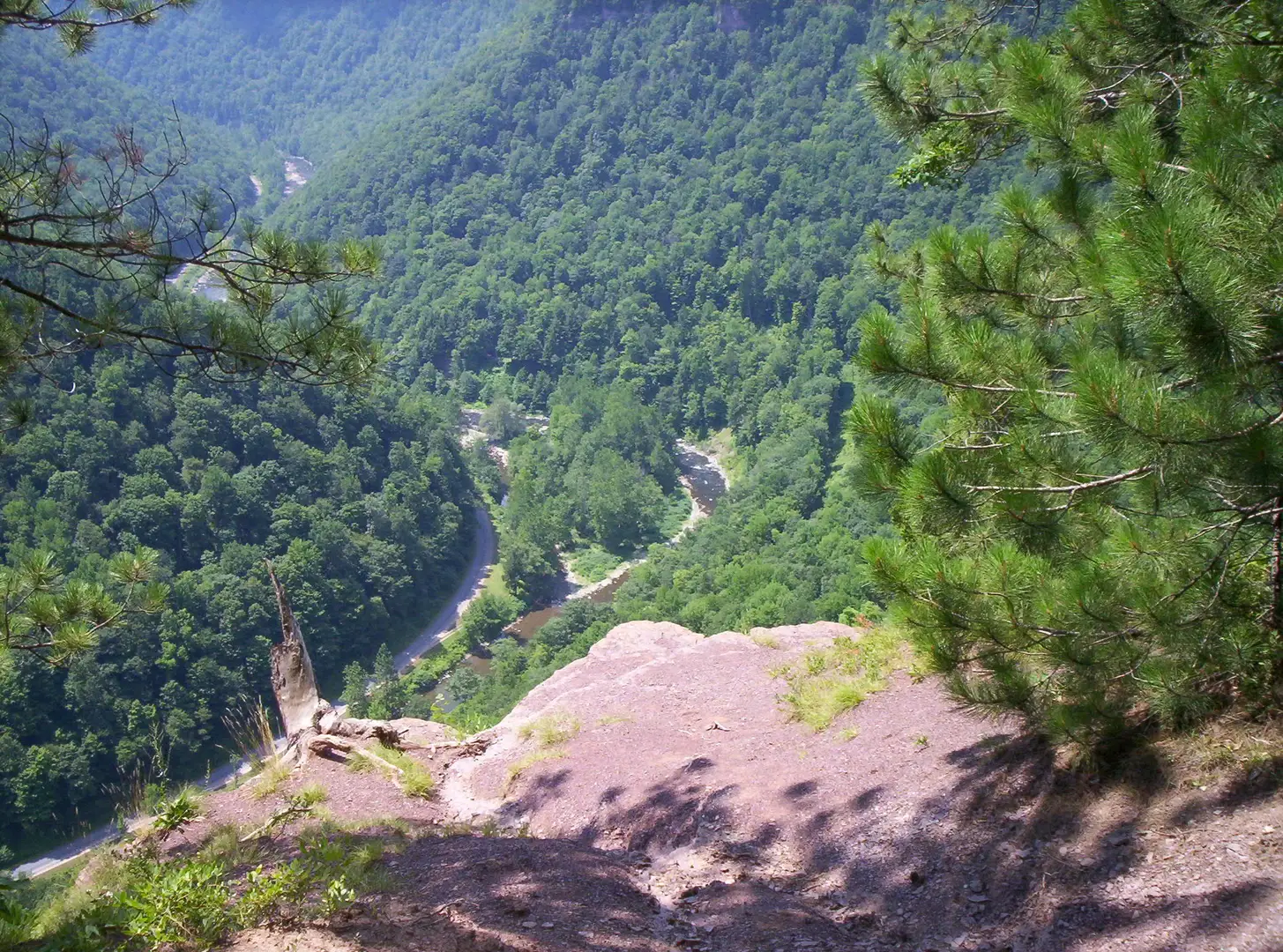 An image depicting the trail Barbour Rock Trail from Colton Point Road and its surrounding area.