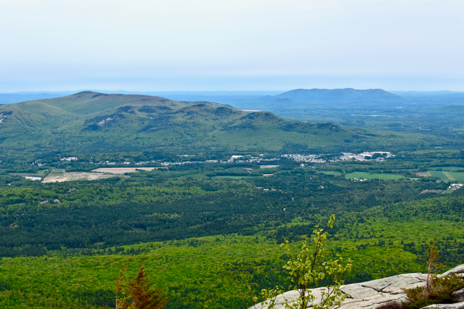 An image depicting the trail Lower Stony Ridge Trail and its surrounding area.
