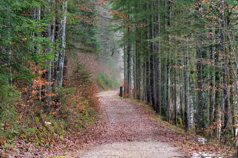 Ramsebenrunde Loop