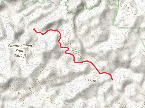 Laurel Fork Trail Out and Back