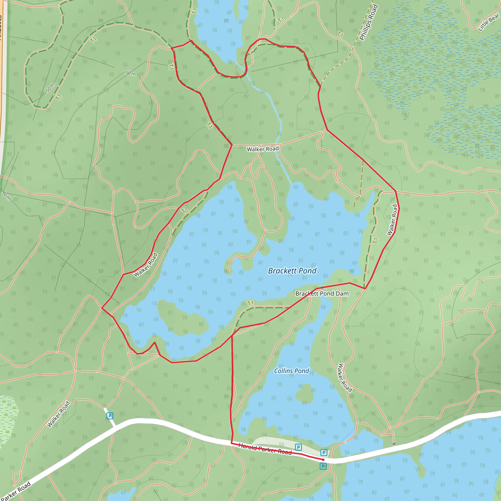 Brackett and Delano Pond Loop trail from Collins Pond mobile static map