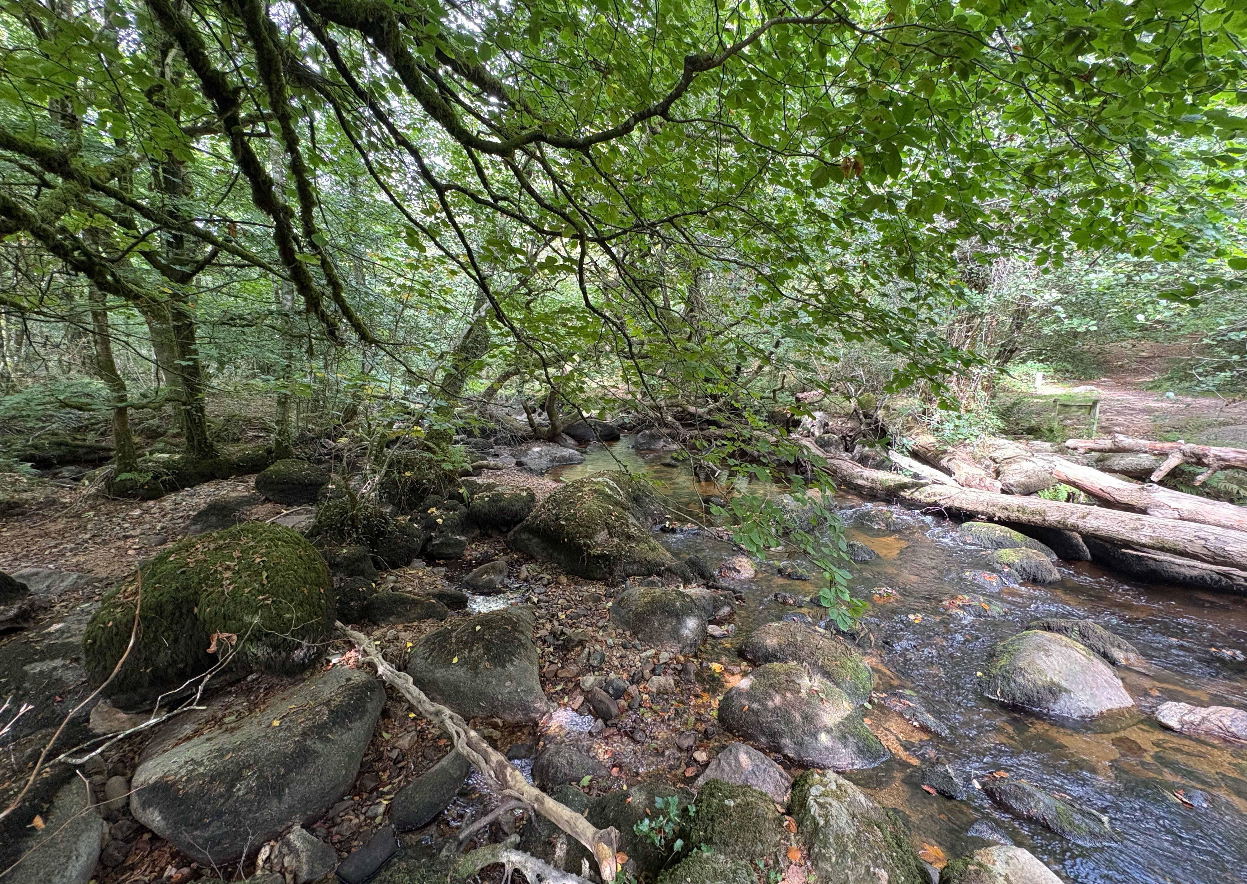 A map preview of the recording Hike from Newton Abbot.