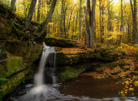 Affelder Falls via Pioneer Bridle Trail