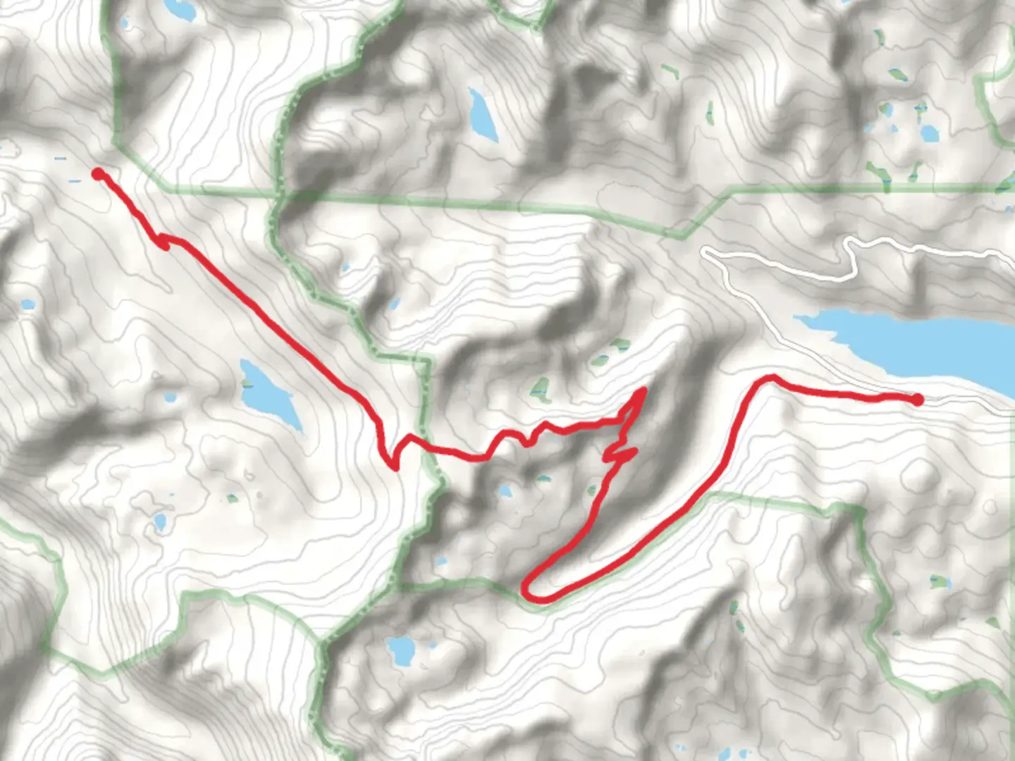 An image depicting the trail Frying Pan Road to Turquoise Lake and its surrounding area.