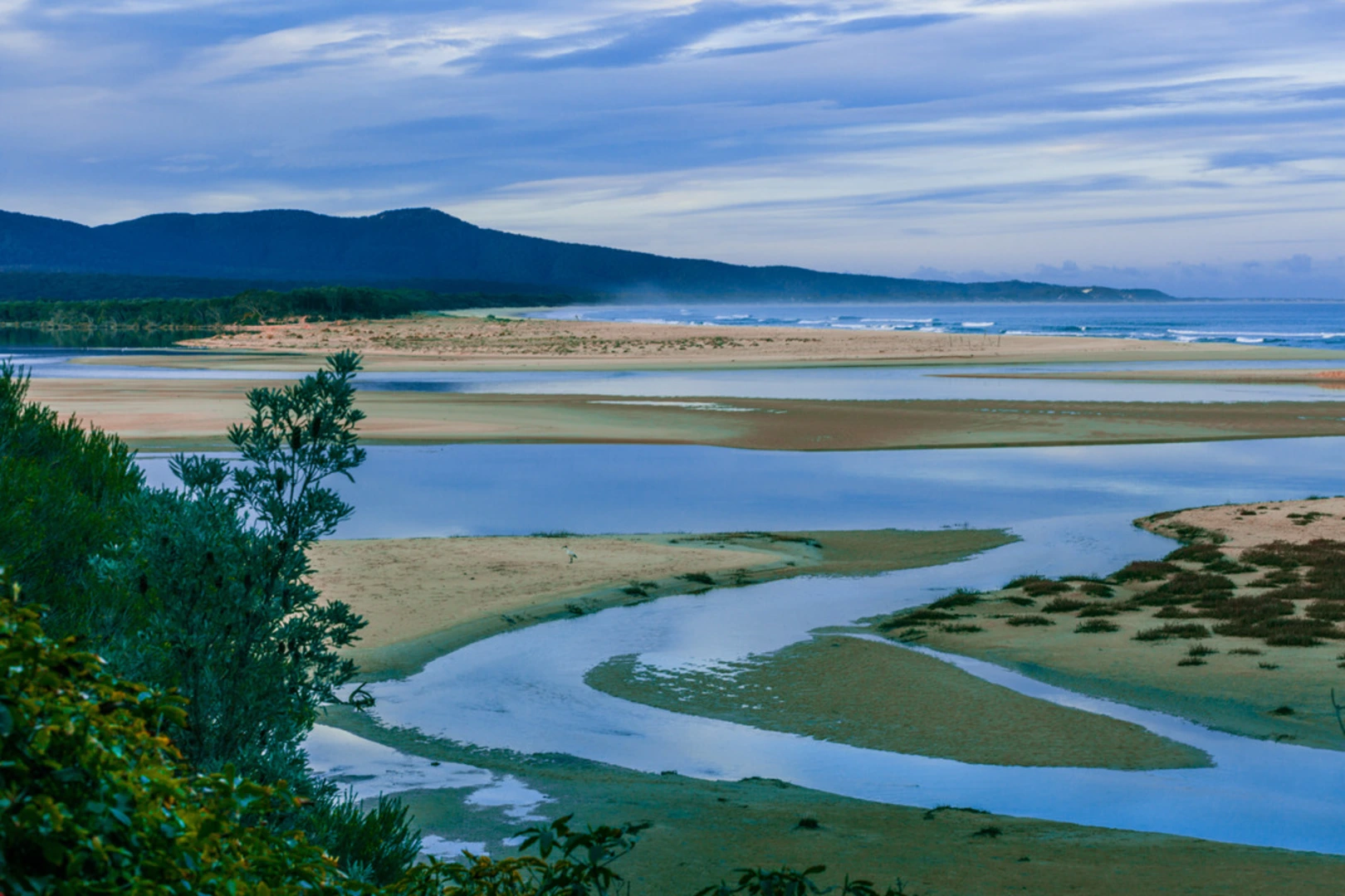 An image depicting the trail Casuarina Walk and its surrounding area.