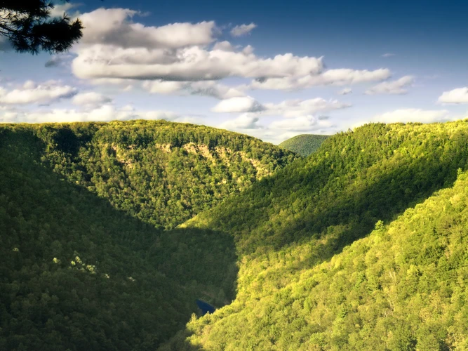 Pine creek via Turkey Path