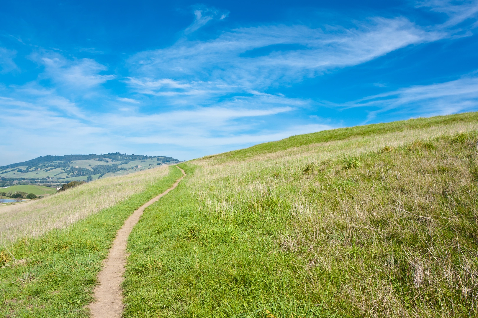 An image depicting the trail Rohner Park Loop and its surrounding area.