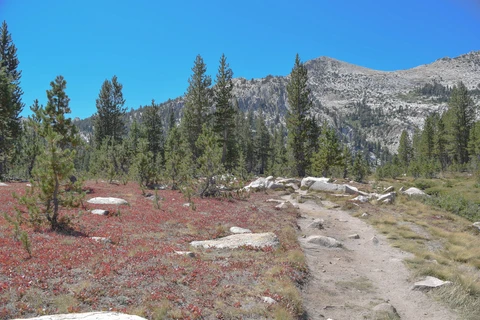 Tuolomne Meadowns Trail