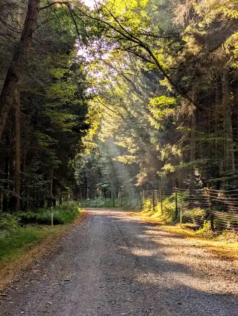 Roaring Creek Trail