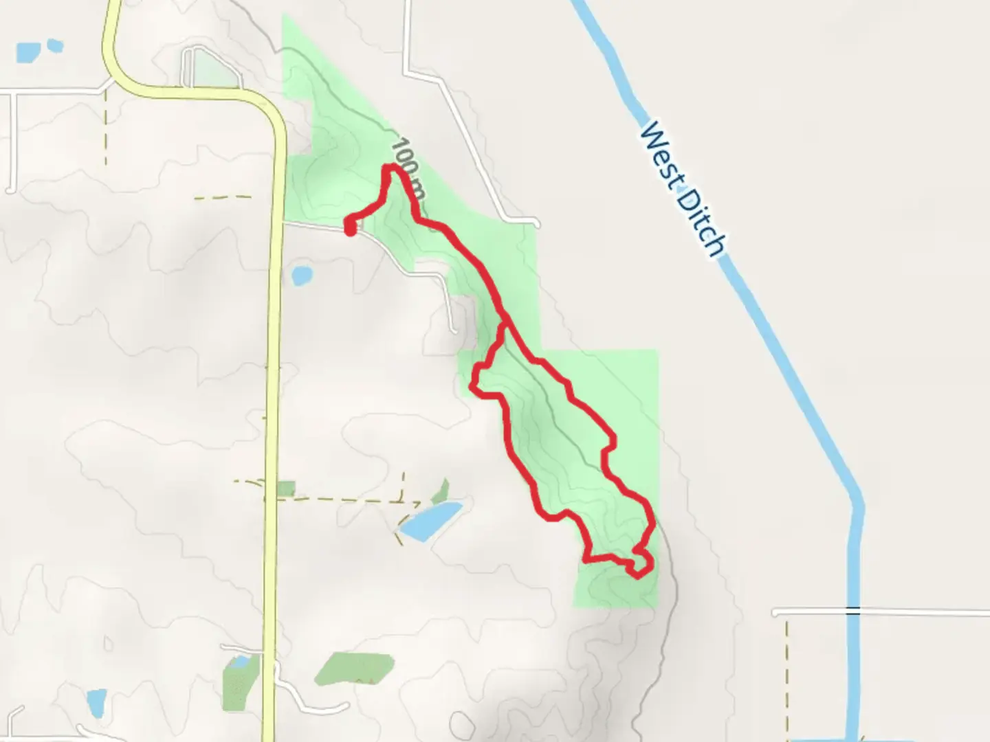 An image depicting the trail Beech Tree Trail Loop and its surrounding area.