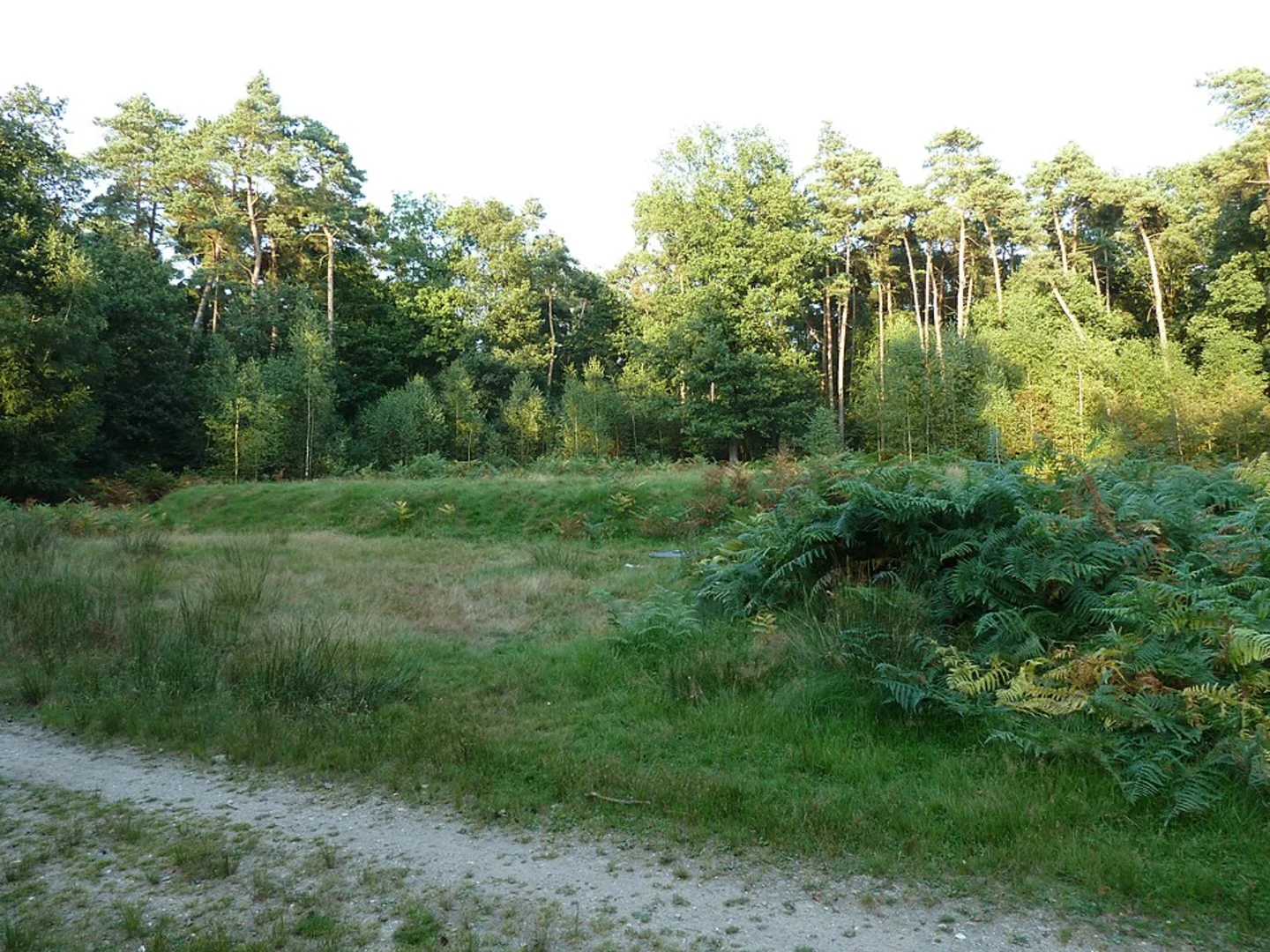 An image depicting the trail Romeinse Wachttoren and Heumensoord Loop and its surrounding area.