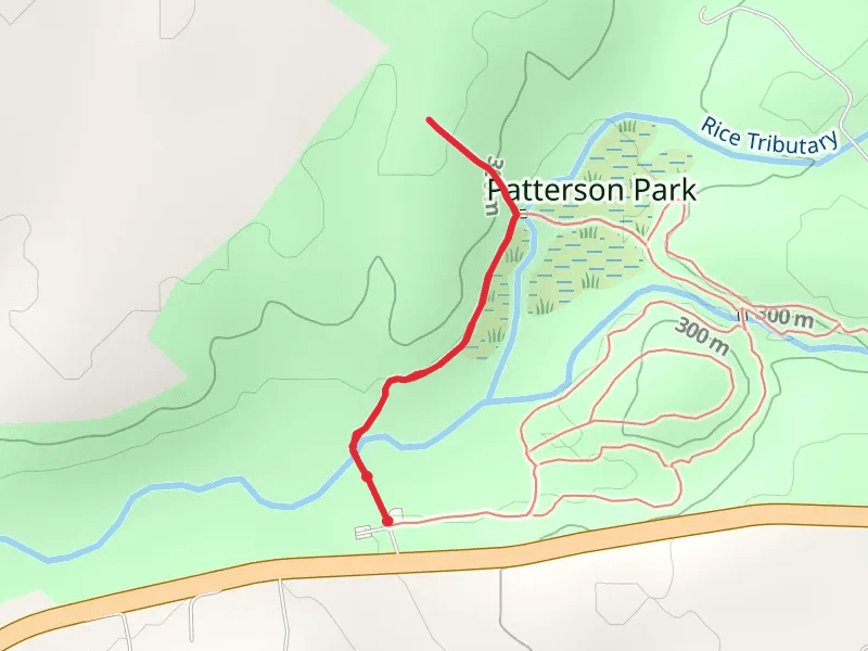 Patterson Park Walk