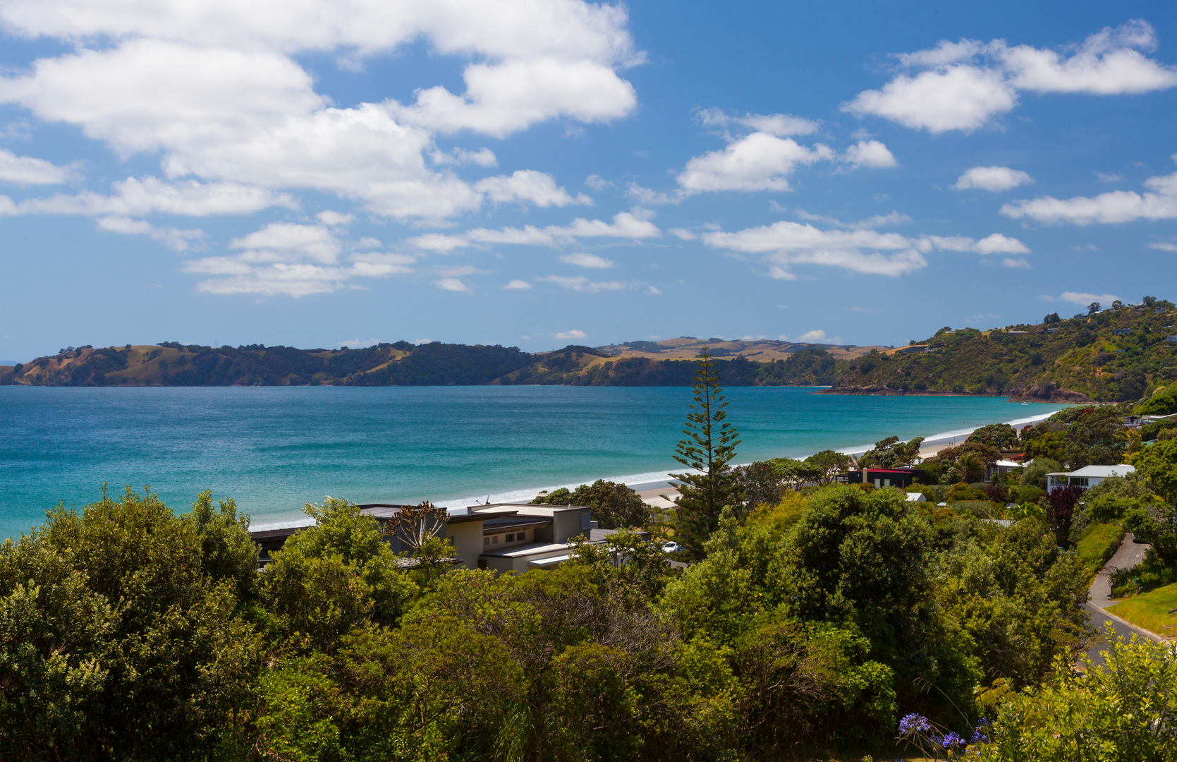 An image depicting the trail Onetangi Track and its surrounding area.