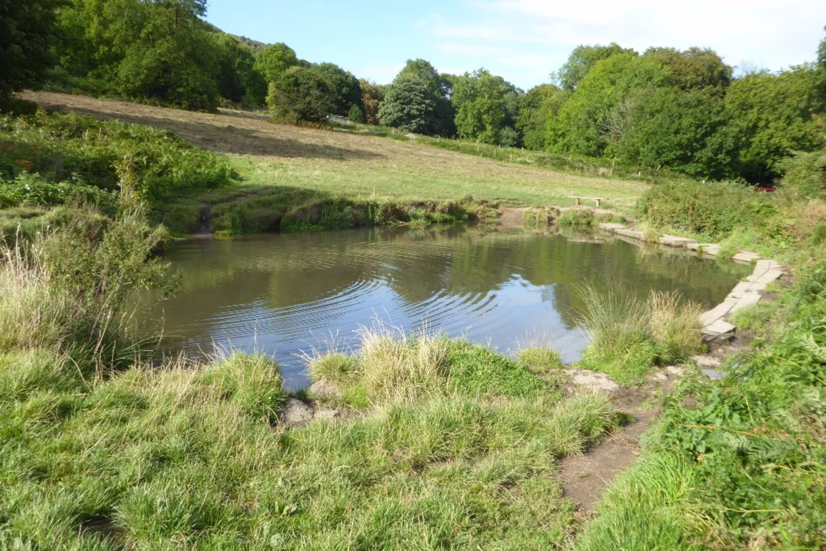 An image depicting the trail Malvern Common Loop and its surrounding area.