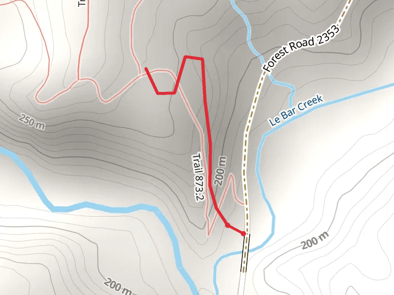 Lower Sf Skokomish - Lebar Creek Trail
