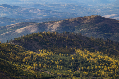 Green Mountain Ridge Trail