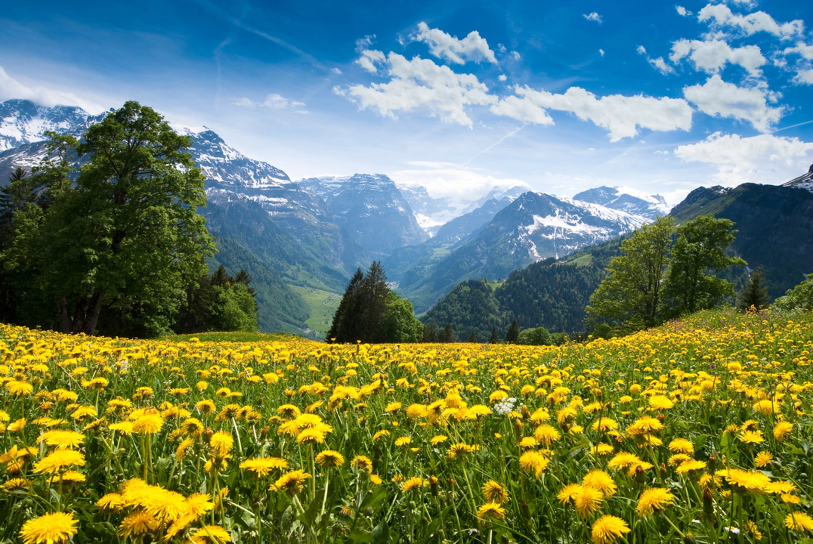 An image depicting the trail Braunwald - Nussbüel Trail and its surrounding area.