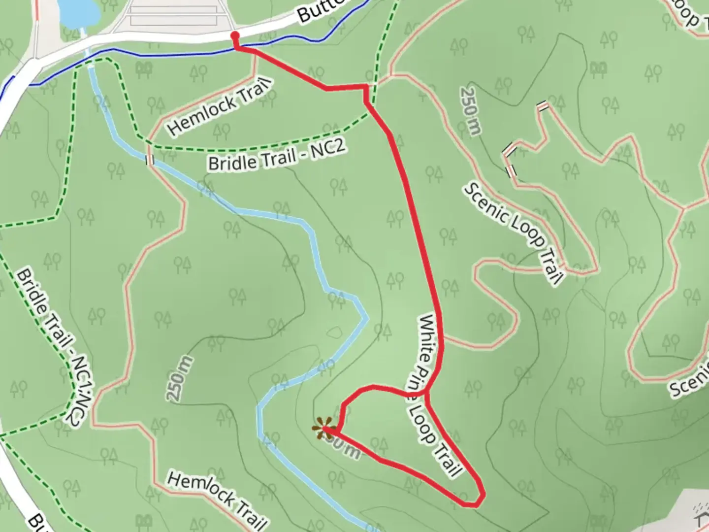 An image depicting the trail White Pine Loop Trail from Buttermilk Falls Parkway and its surrounding area.