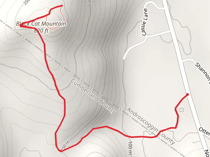 Black Cat Mountain Trail from North Raymond Road