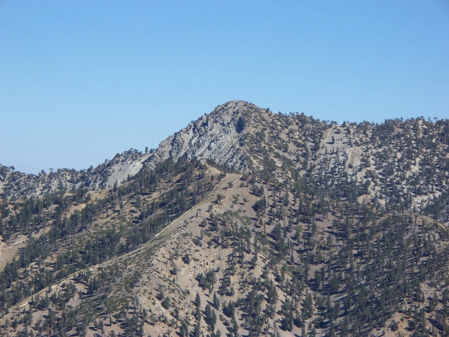 An image depicting the trail Baldy Bowl, Mount San Antonio, Pine Mountain and Register Ridge Loop Trail and its surrounding area.
