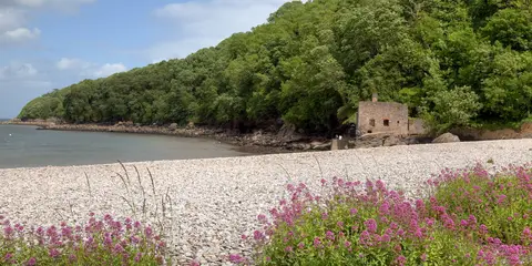 Fishcombe Point Walk