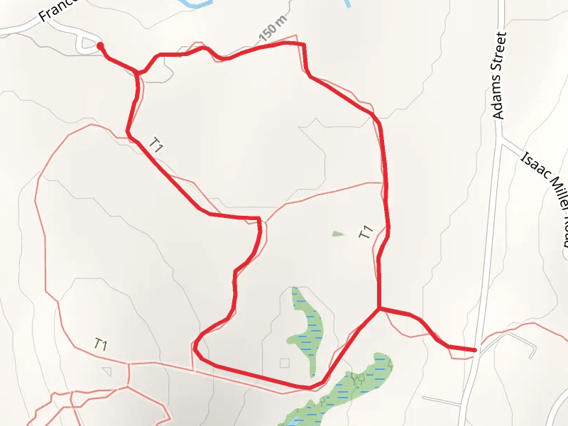 Libbey Loop Trail