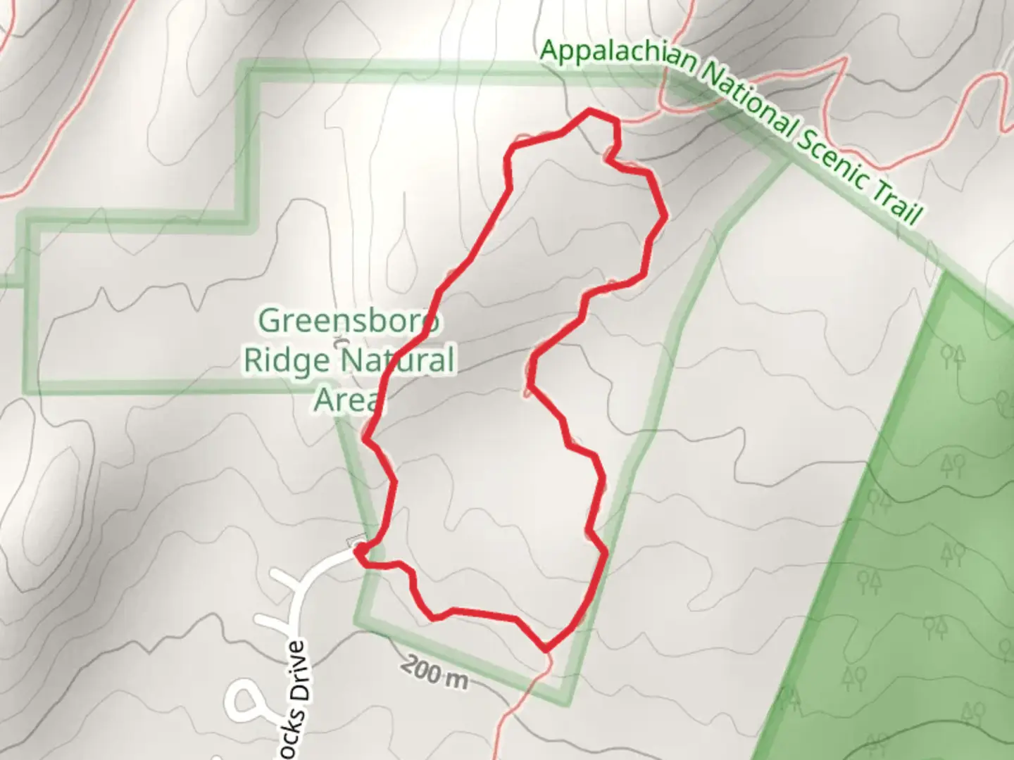 An image depicting the trail Oli's Trail Loop and its surrounding area.
