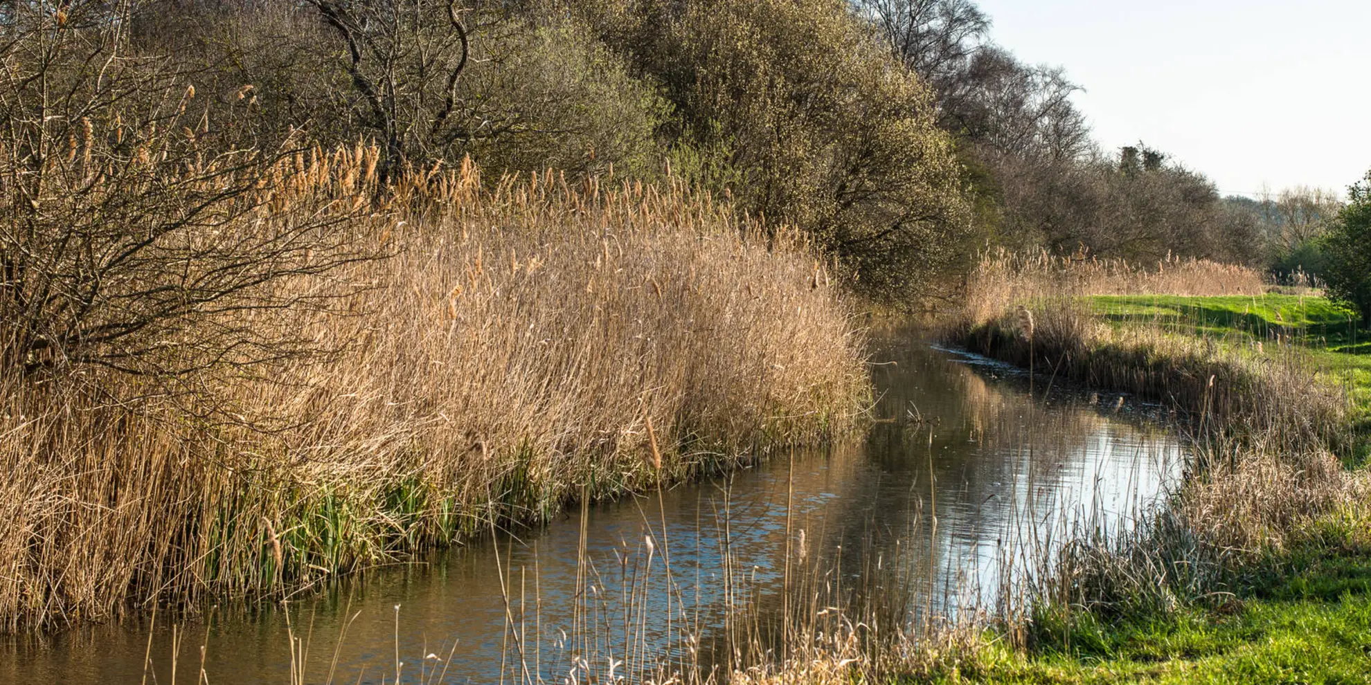 An image depicting the trail Wicken Fen Adventurers Trail - Cambridgeshire and its surrounding area.