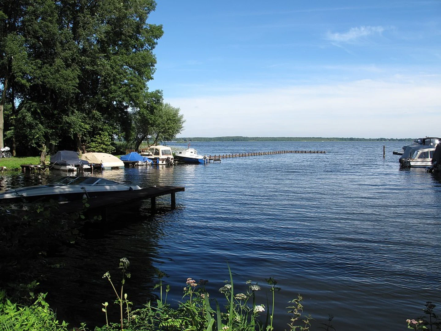 An image depicting the trail Heidesee Loop from Halle Nietleben and its surrounding area.