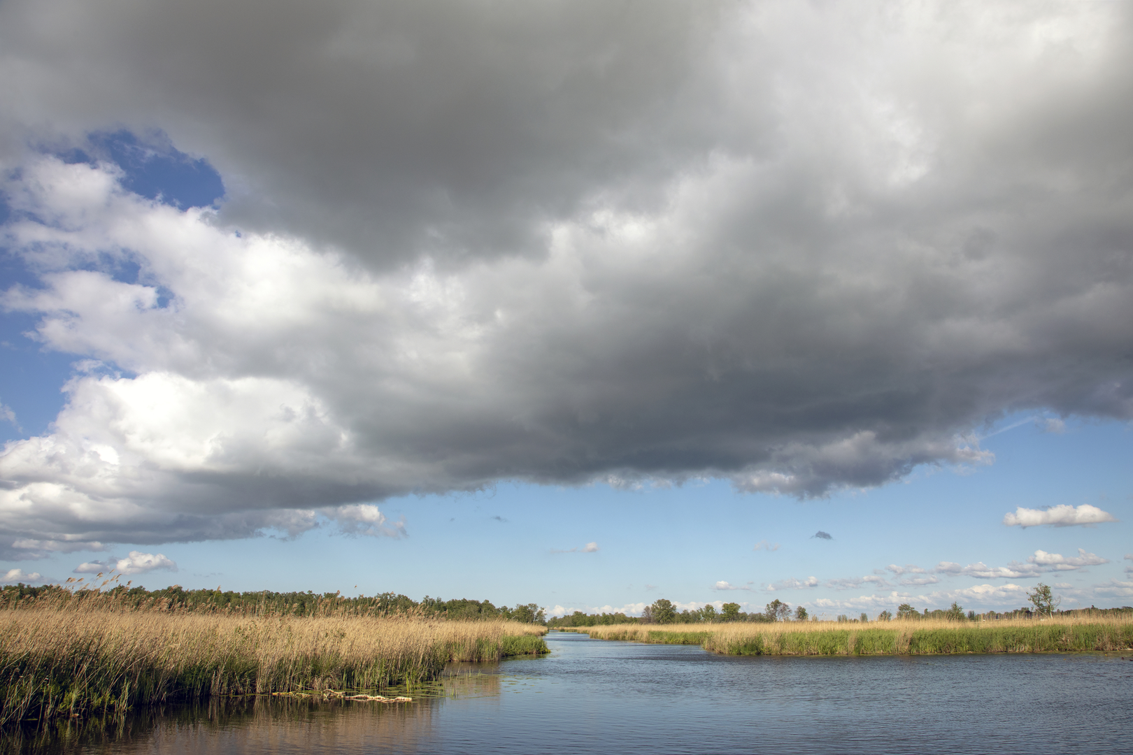 An image depicting the trail Polder De gagel and Fort Ruigenhoek Loop and its surrounding area.