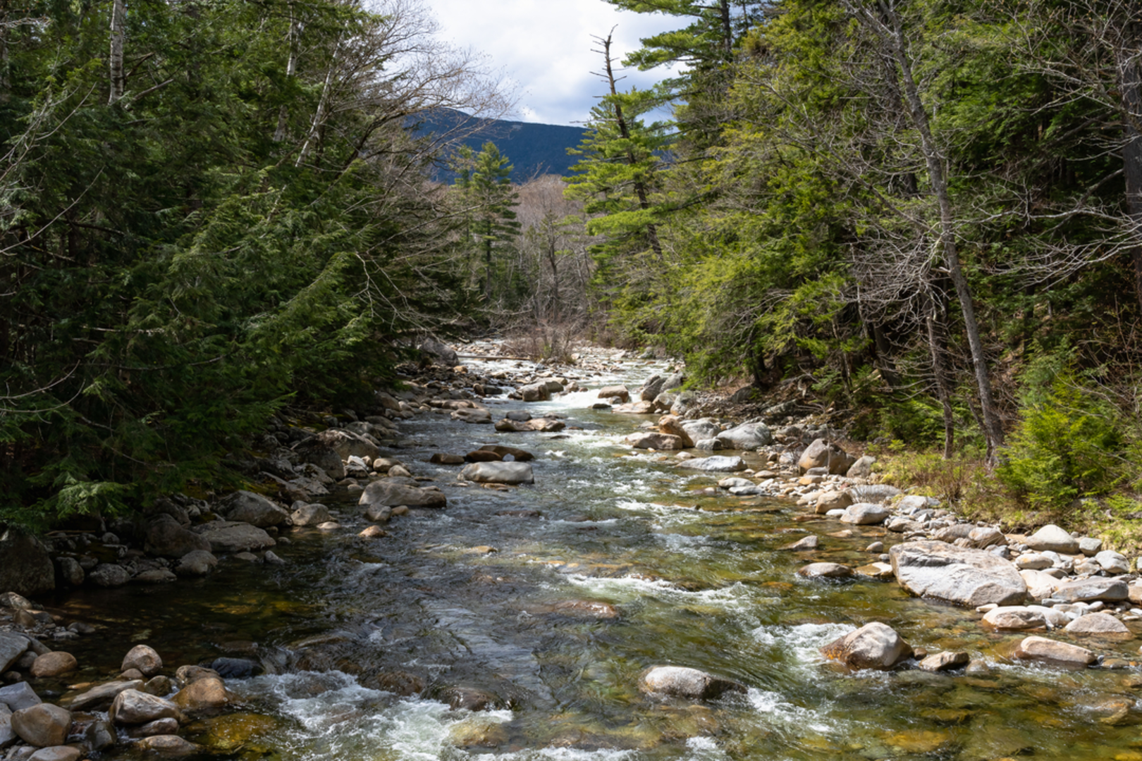 An image depicting the trail Black Pond via Lincoln Woods and its surrounding area.