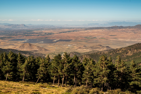 Ragua - Lagunilla Seca PR A 334